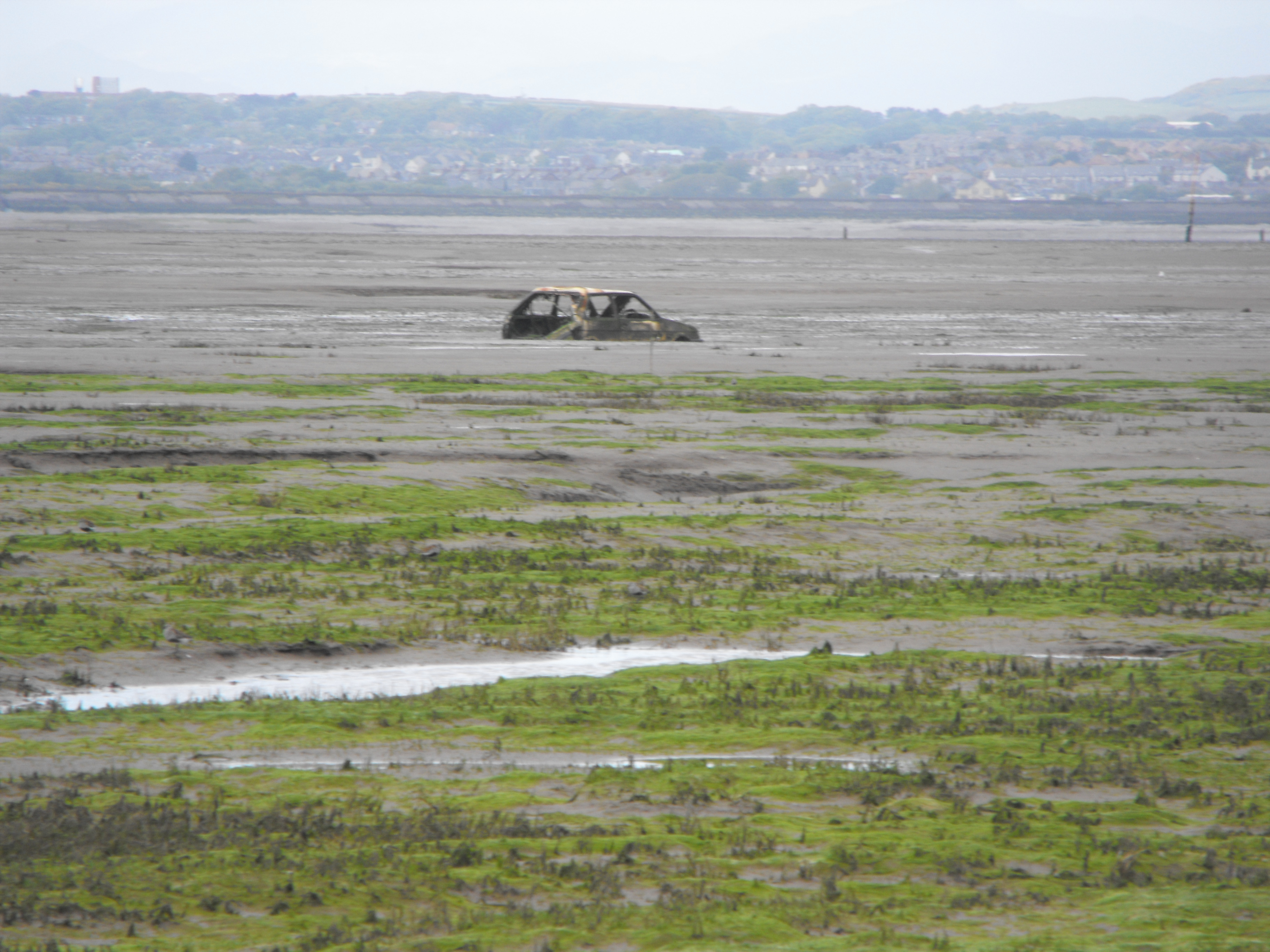 Click now to see this image full size.