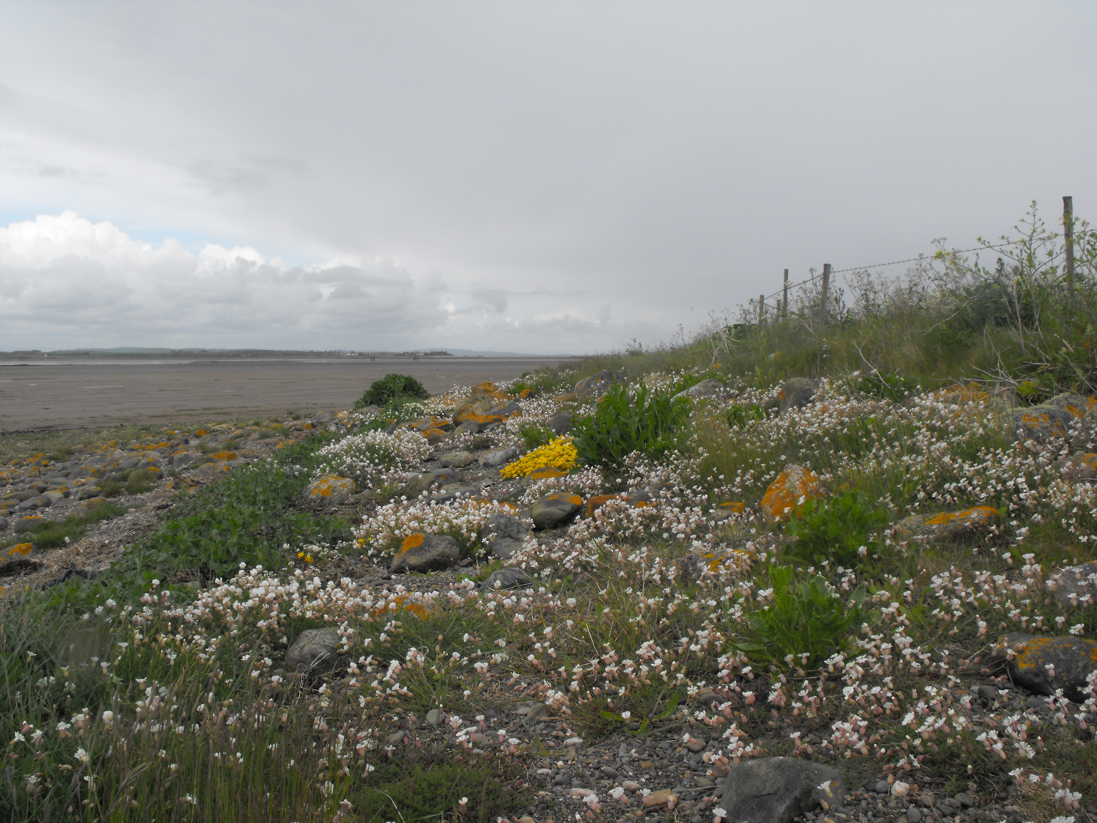 Click now to see this image full size.