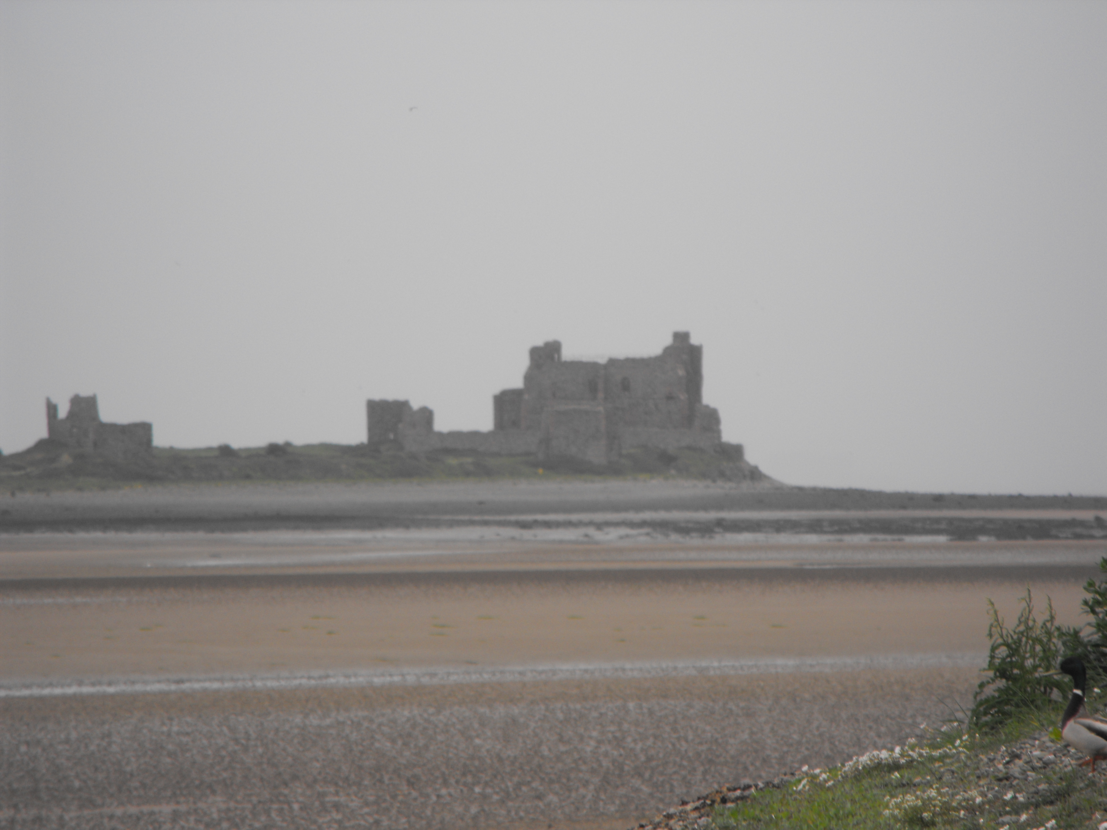 Click now to see this image full size.