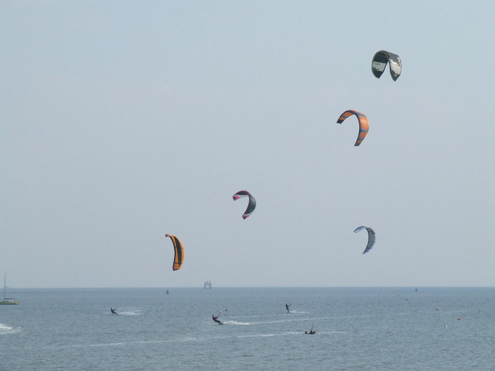 Click now to see this image full size.