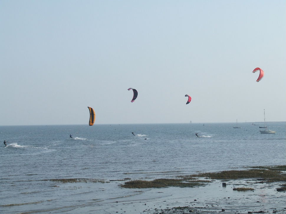 Click now to see this image full size.