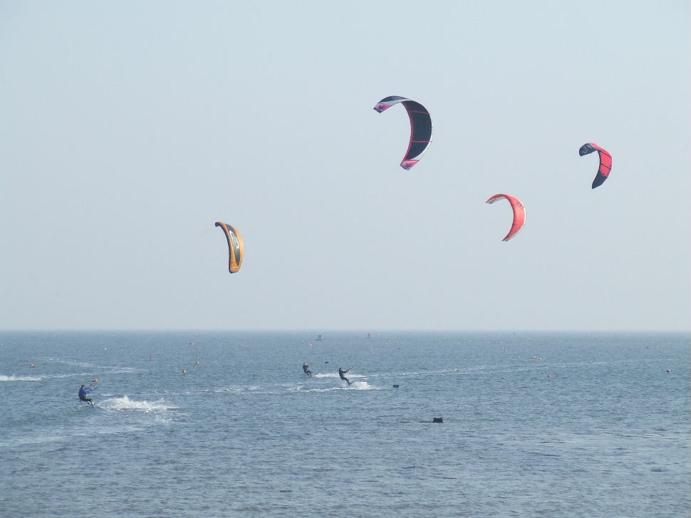 Click now to see this image full size.