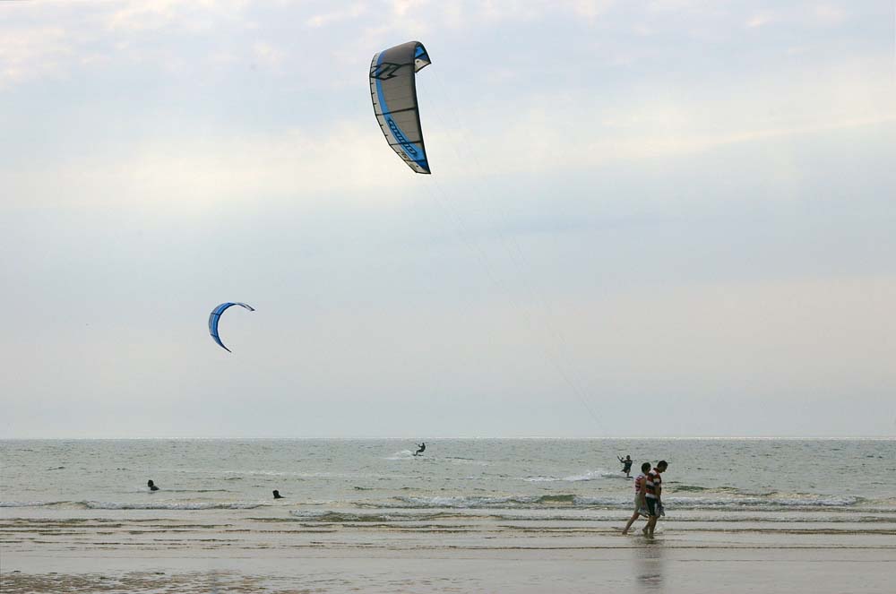 Click now to see this image full size.