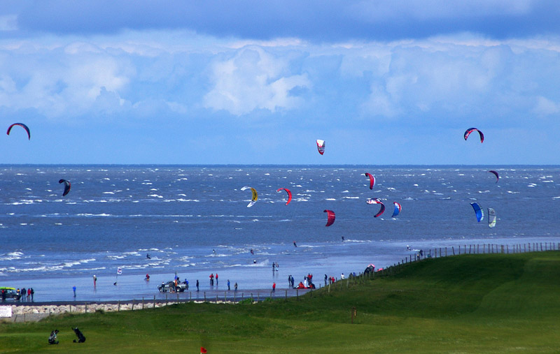 Click now to see this image full size.