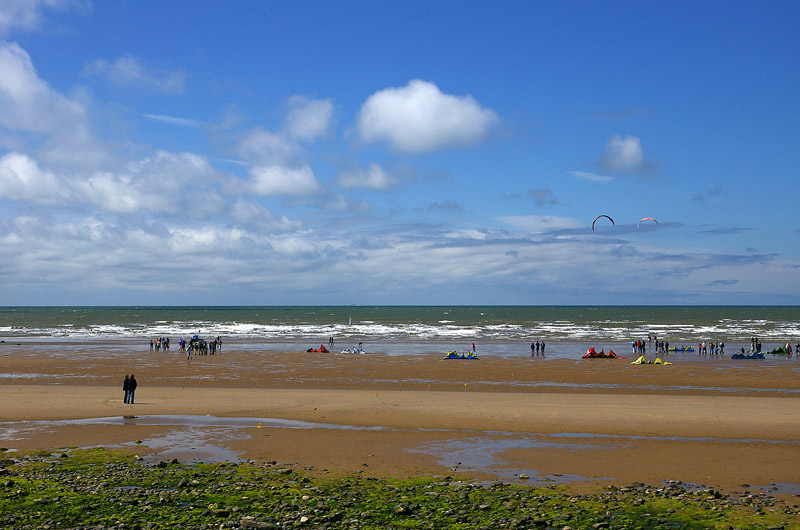 Click now to see this image full size.