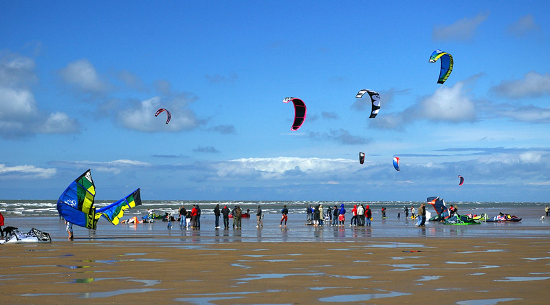 Click now to see this image full size.