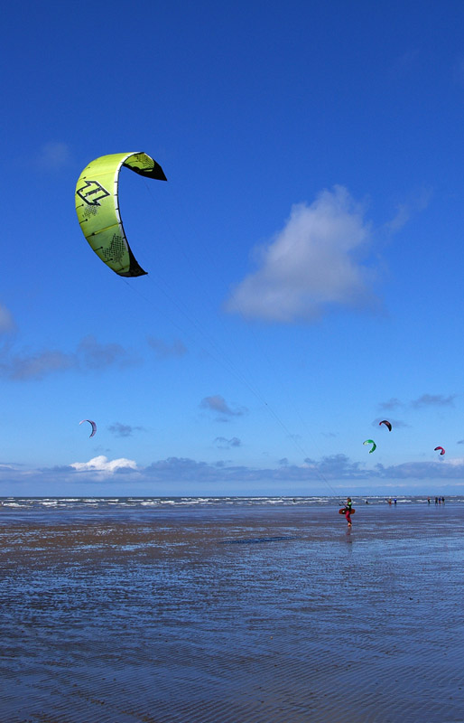 Click now to see this image full size.