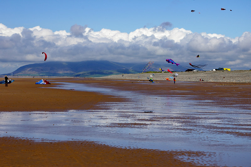 Click now to see this image full size.